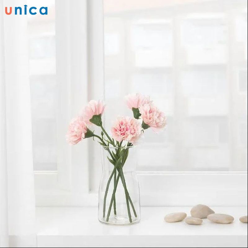 cách cắm hoa cẩm chướng