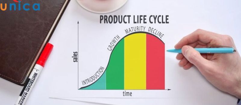 Áp dụng mô hình 7P theo từng giai đoạn giúp doanh nghiệp có cái nhìn chiến lược