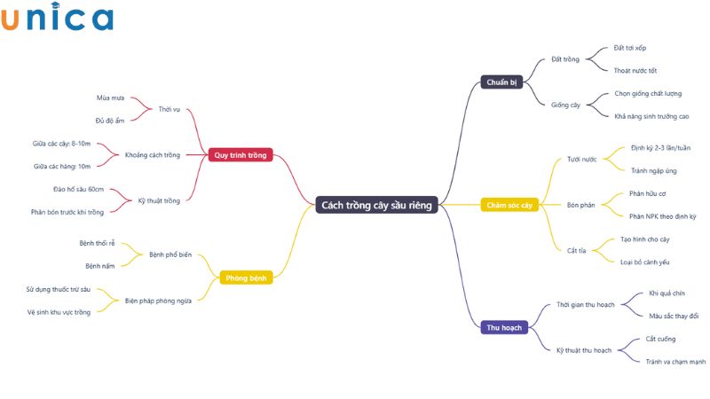 Kết quả tạo sơ đồ tư duy