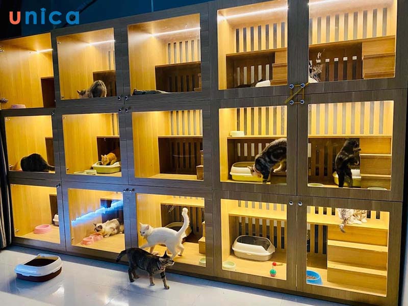 Mô hình kinh doanh khách sạn cho thú cưng