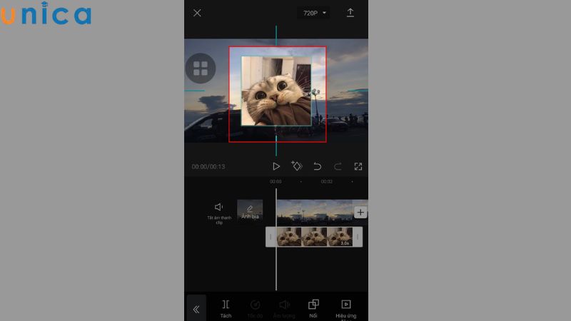 Điều chỉnh logo trong video