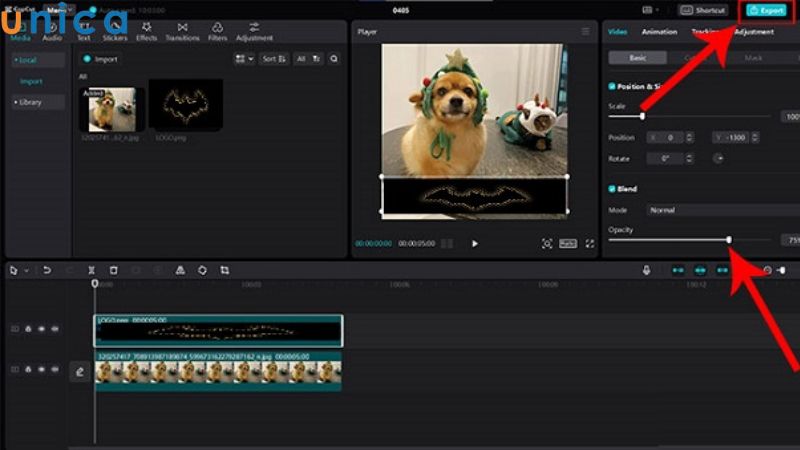 Thao tác thay đổi kích thước logo và xuất video
