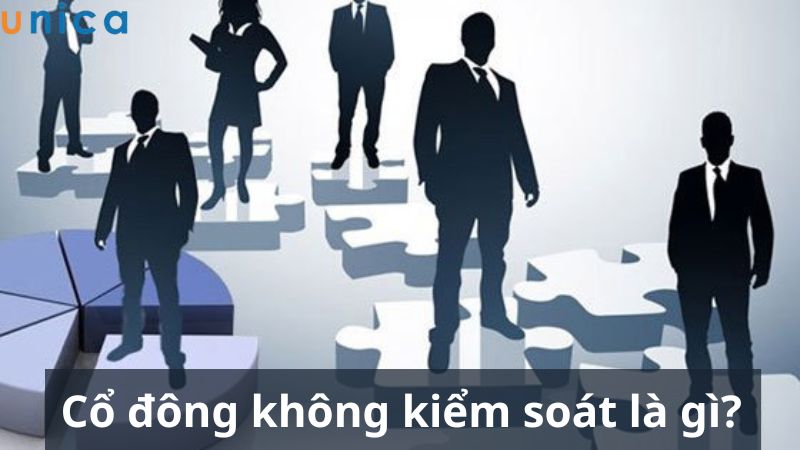 Cổ đông không kiểm soát là gì?