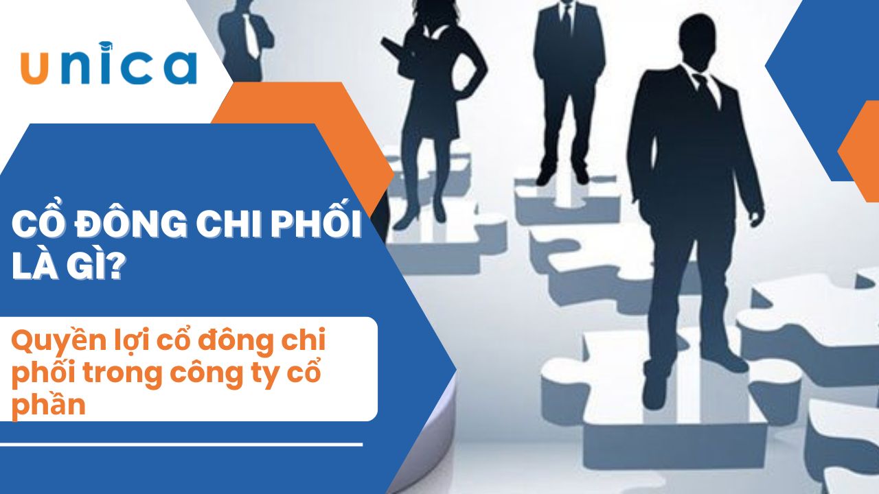 Cổ đông chi phối là gì? Quyền lợi cổ đông chi phối trong công ty cổ phần
