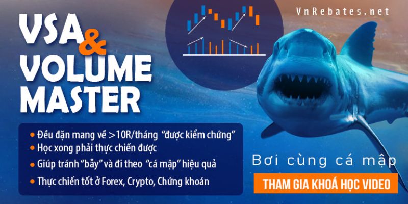 Vsa + Volume Bơi Cùng Cá Mập