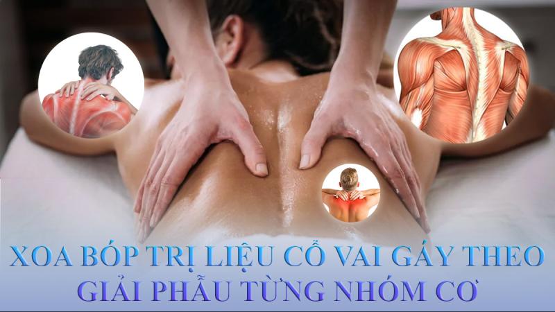 Trị Liệu Đau Cổ Vai Gáy Theo Giải Phẫu Từng Nhóm Cơ