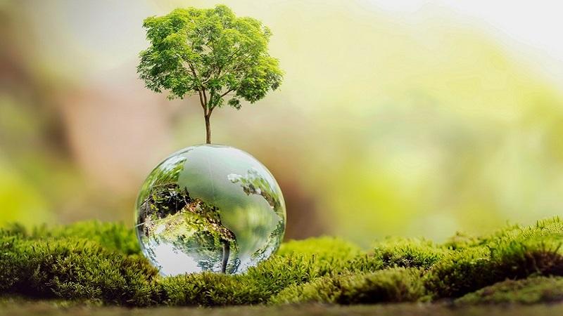 Hướng dẫn sử dụng seller.unica.vn