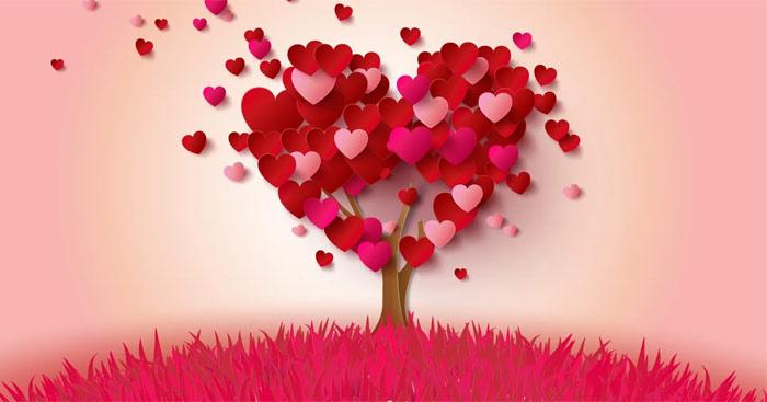 Chạm Yêu – Bí Quyết Làm Nàng Hạnh Phúc