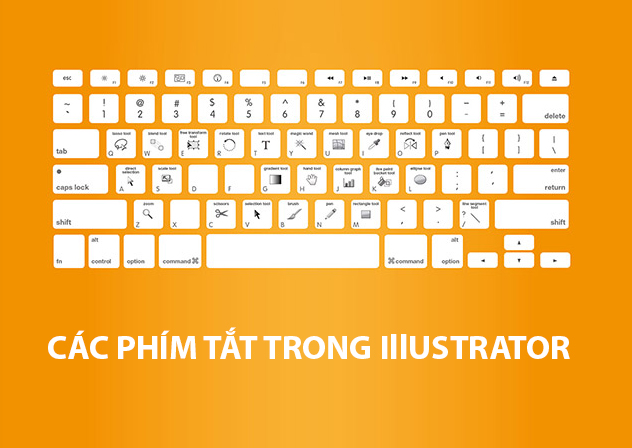 Tổng kết phím tắt trong illustrator đơn giản cho dân thiết kế