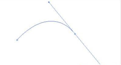 Curve là gì? Cách sử dụng Curve Illustrator như thế nào?